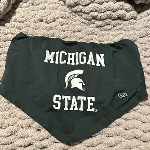 Michigan State tie tube top